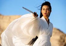Load image into Gallery viewer, Blades of the Guardians: Wind Rises in the Desert (2026) DVD — Wu Jing, Jet Li & Nicholas Tse