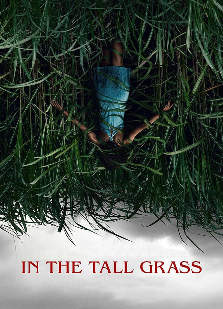 In the Tall Grass (2019) DVD