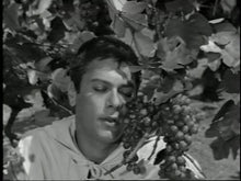 Load image into Gallery viewer, the great imposter tony curtis dvd