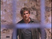 Load image into Gallery viewer, the human shield michael dudikoff dvd