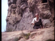 Load image into Gallery viewer, American Shaolin King Of The Kickboxers 2 | Retro And Classic Flixs