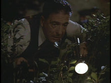 Load image into Gallery viewer, the public eye joe pesci dvd