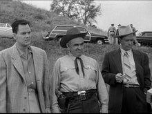 Load image into Gallery viewer, tarantula dvd