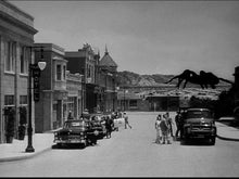 Load image into Gallery viewer, tarantula dvd