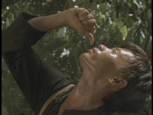 Load image into Gallery viewer, the iron triangle beau bridges dvd