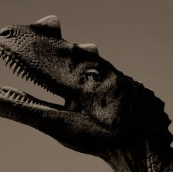 These Favorite Screenplays Were Books First and now a movie