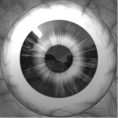 Banned from Screen, Not Barred From Existence: 4 Movies