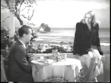 Load image into Gallery viewer, the blue dahlia playable all-regions dvd
