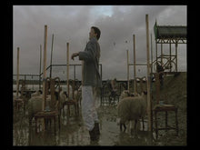 Load image into Gallery viewer, Drowning By Numbers DVD | Retro And Classic Flixs
