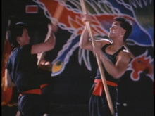 Load image into Gallery viewer, tiger claws cynthia rothrock dvd
