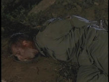 Load image into Gallery viewer, the iron triangle beau bridges dvd
