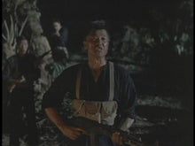 Load image into Gallery viewer, the iron triangle beau bridges dvd
