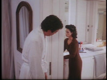 Load image into Gallery viewer, the human shield michael dudikoff dvd
