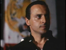 Load image into Gallery viewer, tiger claws cynthia rothrock dvd
