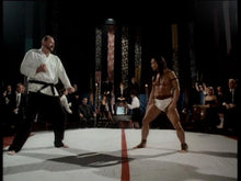 Load image into Gallery viewer, Balance of Power | Hidden Tiger Movie | Retro And Classic Flixs
