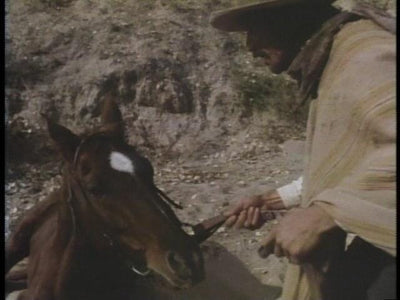 The Ballad of Gregorio Cortez DVD Film & Television DVDs Retro and Classic Flixs 