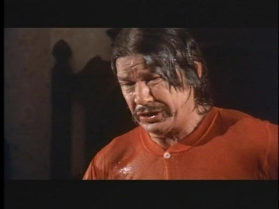 White Buffalo Charles Bronson DVD Film & Television DVDs Retro and Classic Flixs 